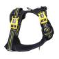 Preview: DOOG Neotech Geschirr BOLT Gr. M Preview: DOOG Neotech Geschirr BOLT Gr. M